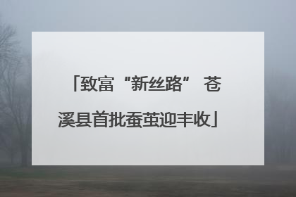 致富“新丝路” 苍溪县首批蚕茧迎丰收