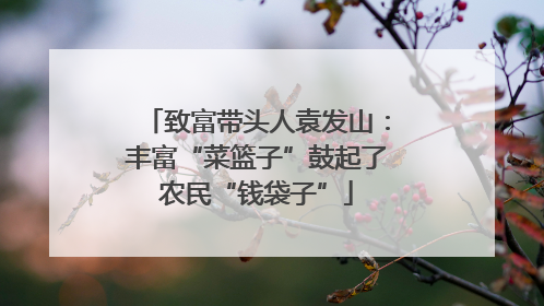 致富带头人袁发山：丰富“菜篮子”鼓起了农民“钱袋子”