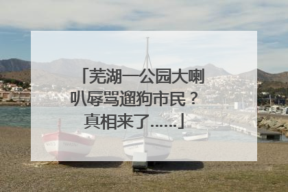 芜湖一公园大喇叭辱骂遛狗市民？真相来了……