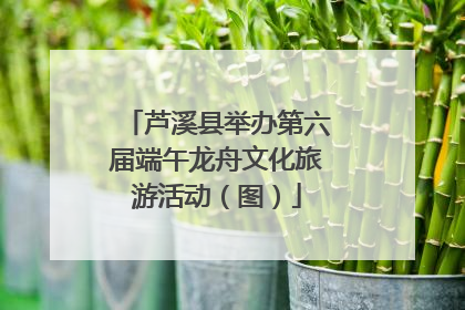 芦溪县举办第六届端午龙舟文化旅游活动（图）