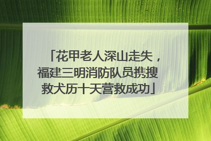 花甲老人深山走失，福建三明消防队员携搜救犬历十天营救成功