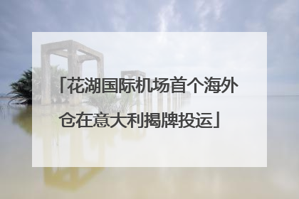 花湖国际机场首个海外仓在意大利揭牌投运