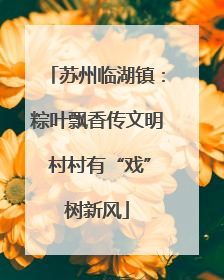 苏州临湖镇：粽叶飘香传文明 村村有“戏”树新风