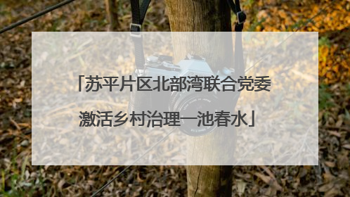 苏平片区北部湾联合党委 激活乡村治理一池春水