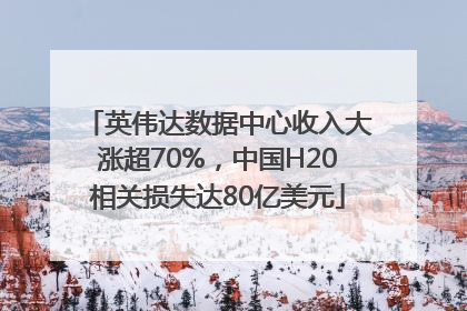 英伟达数据中心收入大涨超70%，中国H20相关损失达80亿美元