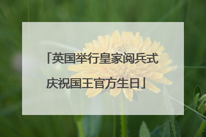 英国举行皇家阅兵式庆祝国王官方生日