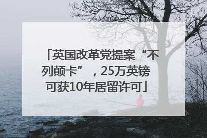英国改革党提案“不列颠卡”，25万英镑可获10年居留许可