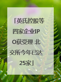 英氏控股等四家企业IPO获受理 北交所今年已达25家