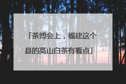 茶博会上，福建这个县的高山白茶有看点