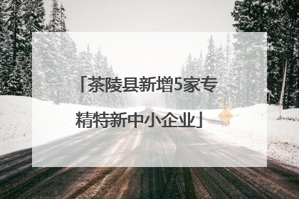 茶陵县新增5家专精特新中小企业