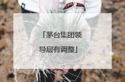 茅台集团领导层有调整