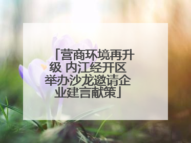 营商环境再升级 内江经开区举办沙龙邀请企业建言献策