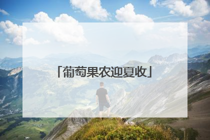 葡萄果农迎夏收