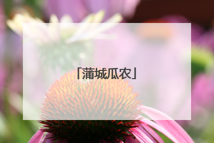 蒲城瓜农