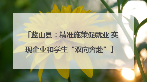 蓝山县：精准施策促就业 实现企业和学生“双向奔赴”