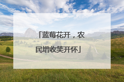 蓝莓花开，农民增收笑开怀