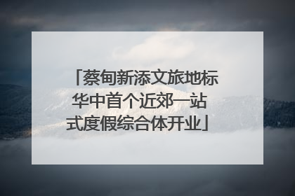 蔡甸新添文旅地标 华中首个近郊一站式度假综合体开业