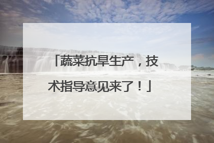 蔬菜抗旱生产，技术指导意见来了！