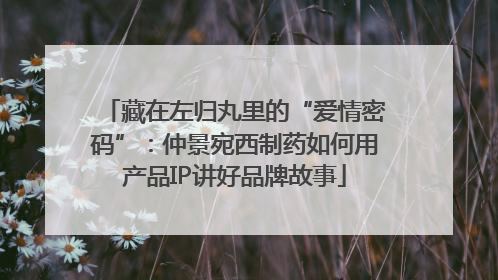藏在左归丸里的“爱情密码”：仲景宛西制药如何用产品IP讲好品牌故事