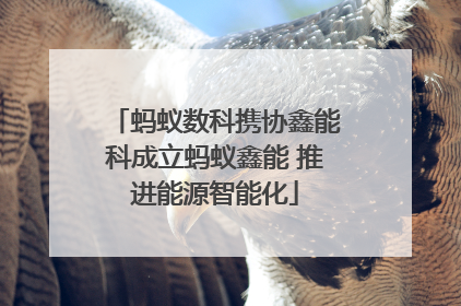 蚂蚁数科携协鑫能科成立蚂蚁鑫能 推进能源智能化