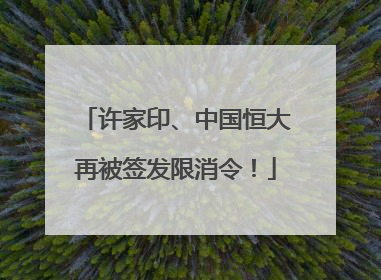 许家印、中国恒大再被签发限消令！
