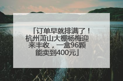 订单早就排满了！杭州萧山大棚杨梅迎来丰收，一盒96颗能卖到400元