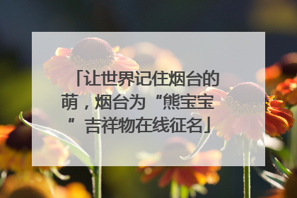 让世界记住烟台的萌，烟台为“熊宝宝”吉祥物在线征名