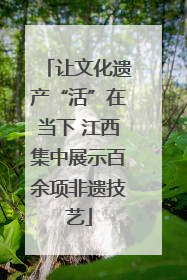让文化遗产“活”在当下 江西集中展示百余项非遗技艺