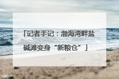 记者手记：渤海湾畔盐碱滩变身“新粮仓”