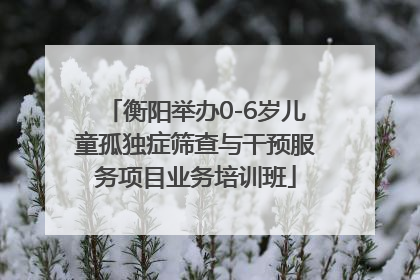 衡阳举办0-6岁儿童孤独症筛查与干预服务项目业务培训班