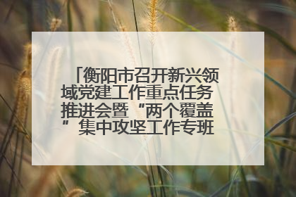 衡阳市召开新兴领域党建工作重点任务推进会暨“两个覆盖”集中攻坚工作专班 第一次会议