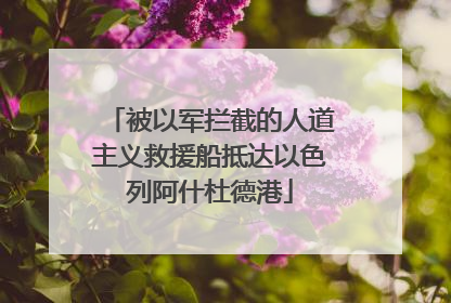 被以军拦截的人道主义救援船抵达以色列阿什杜德港