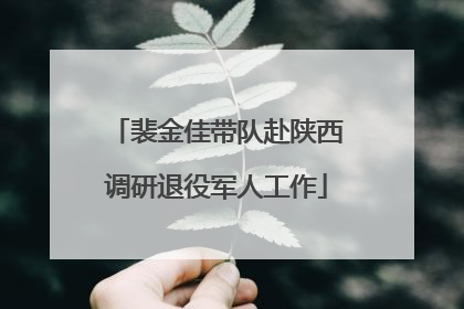 裴金佳带队赴陕西调研退役军人工作