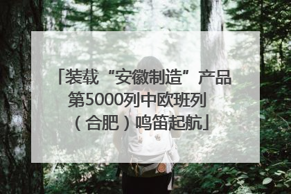 装载“安徽制造”产品 第5000列中欧班列（合肥）鸣笛起航