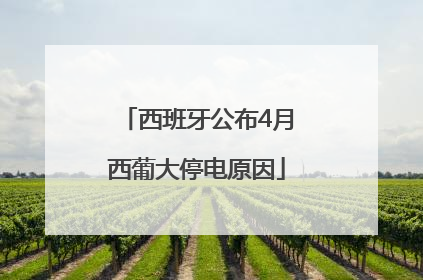 西班牙公布4月西葡大停电原因