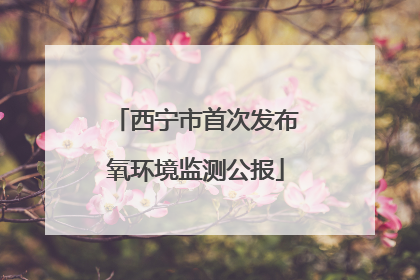西宁市首次发布氧环境监测公报