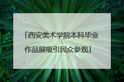 西安美术学院本科毕业作品展吸引民众参观