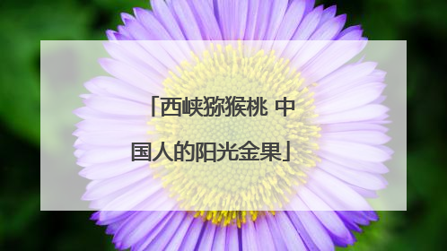 西峡猕猴桃 中国人的阳光金果