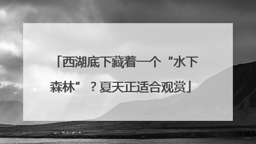西湖底下藏着一个“水下森林”？夏天正适合观赏