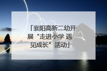 襄阳高新二幼开展“走进小学 遇见成长”活动