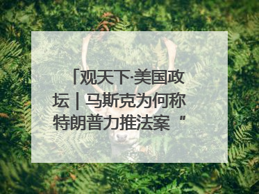 观天下·美国政坛｜马斯克为何称特朗普力推法案“令人作呕”