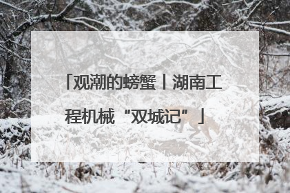 观潮的螃蟹丨湖南工程机械“双城记”