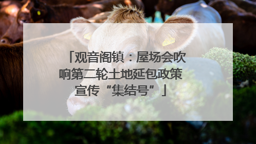 观音阁镇：屋场会吹响第二轮土地延包政策宣传“集结号”