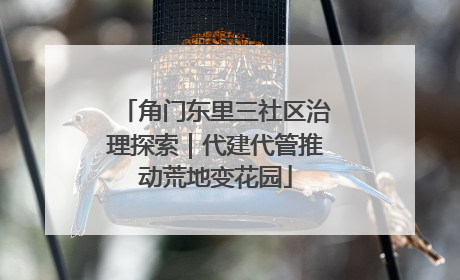 角门东里三社区治理探索｜代建代管推动荒地变花园