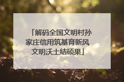 解码全国文明村孙家庄信用筑基育新风文明沃土结硕果