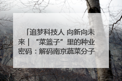 追梦科技人 向新向未来｜“菜篮子”里的种业密码：解码南京蔬菜分子育种的创新之路