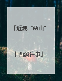 近观“两山”丨西溪往事
