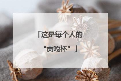 这是每个人的“贡嘎杯”