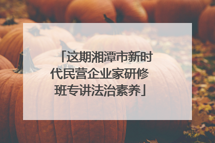 这期湘潭市新时代民营企业家研修班专讲法治素养
