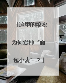 这里的粮农为何爱种“面包小麦”？